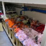 Bloemen Van den Hauwe