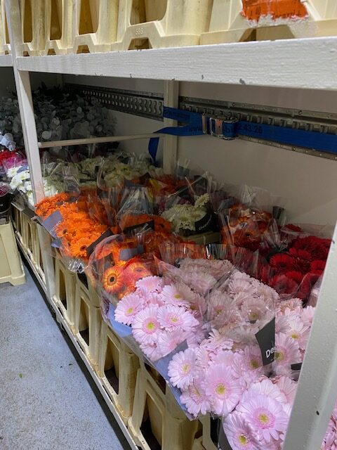 Bloemen Van den Hauwe