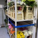 Bloemen Van den Hauwe