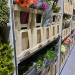 Bloemen Van den Hauwe