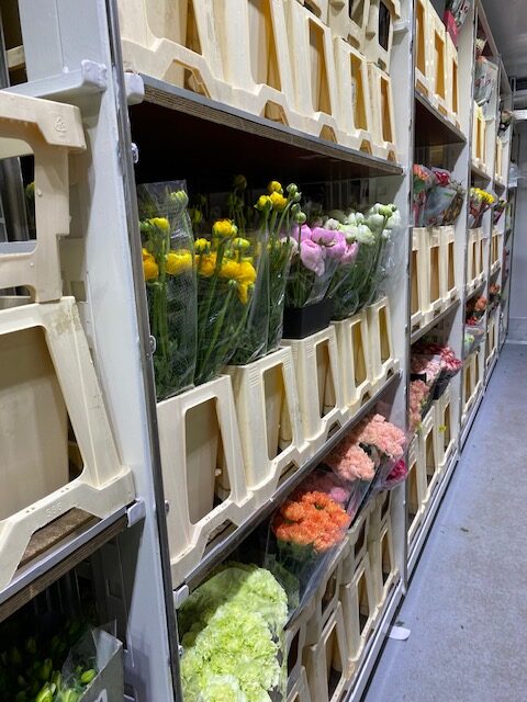 Bloemen Van den Hauwe