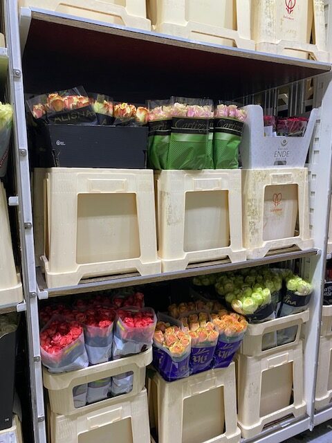 Bloemen Van den Hauwe