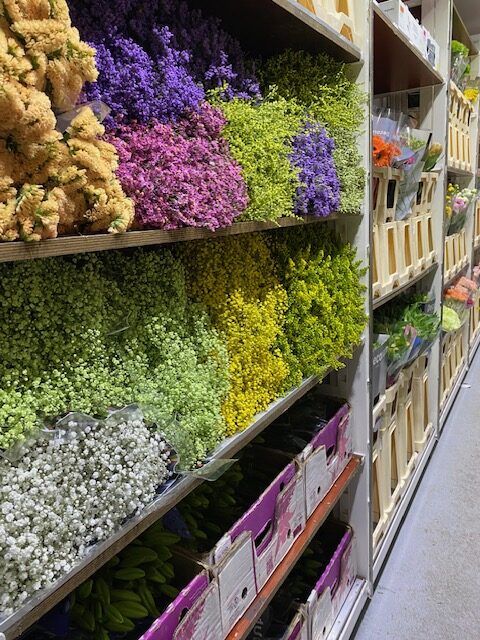 Bloemen Van den Hauwe