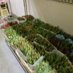 Bloemen Van den Hauwe