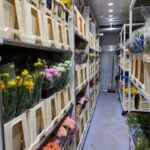 Bloemen Van den Hauwe