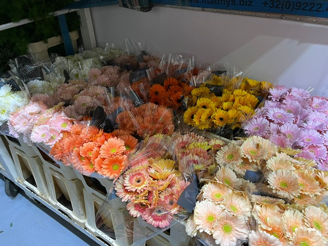 Bloemen Van den Hauwe