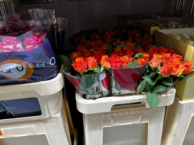 Bloemen Van den Hauwe