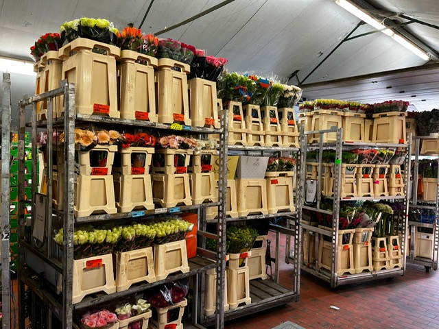 Bloemen Van den Hauwe