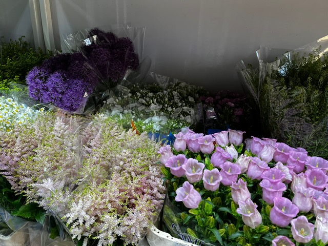 Bloemen Van den Hauwe