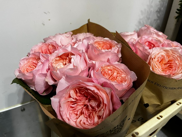 Bloemen Van den Hauwe