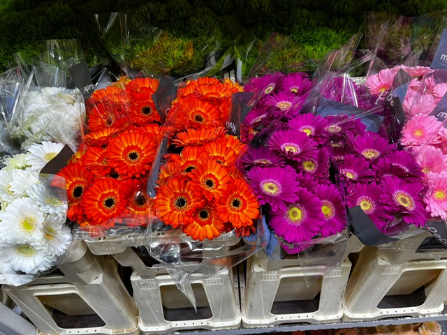 Bloemen Van den Hauwe