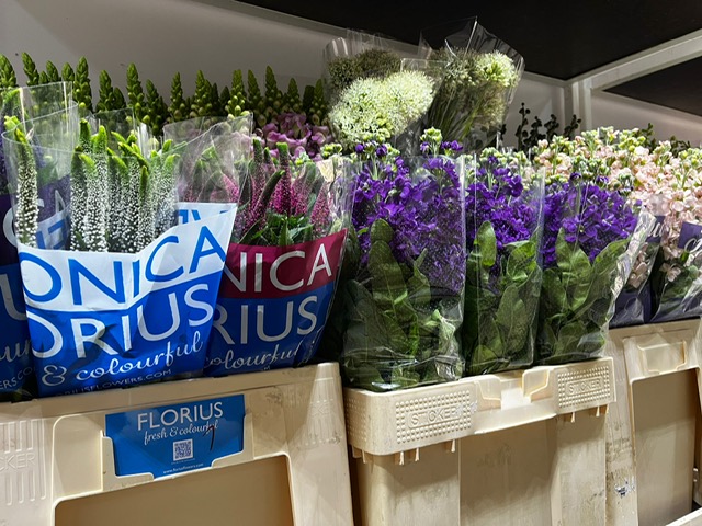 Bloemen Van den Hauwe