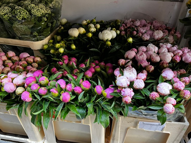 Bloemen Van den Hauwe