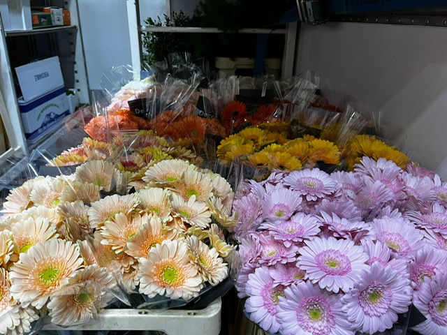 Bloemen Van den Hauwe