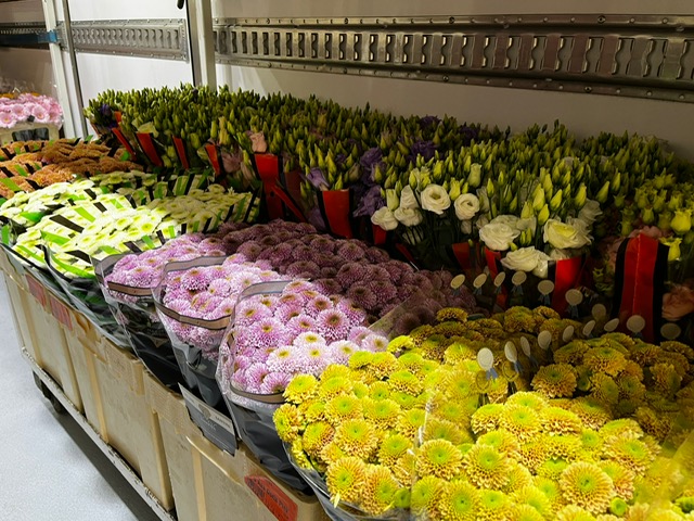 Bloemen Van den Hauwe